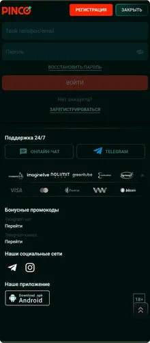Скачать приложение Pinco