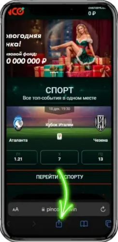 Нажмите-на-значок-Поделиться